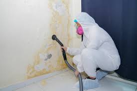 Mold Removal for HVAC Installations in Cridersville, OH